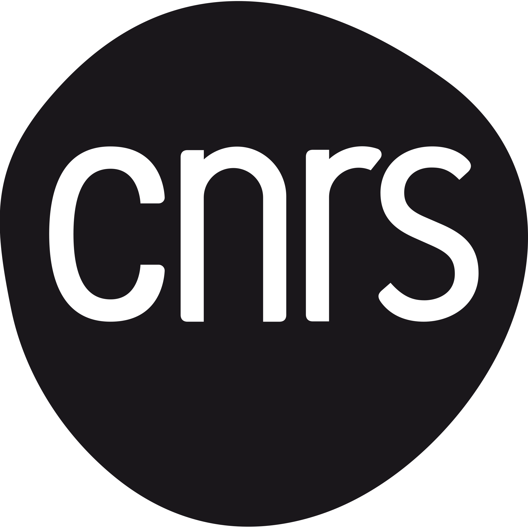 logo-cnrs